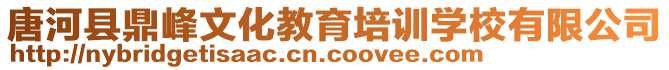 唐河縣鼎峰文化教育培訓(xùn)學(xué)校有限公司