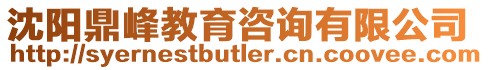 沈陽鼎峰教育咨詢有限公司