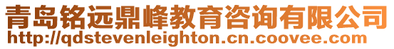 青島銘遠鼎峰教育咨詢有限公司