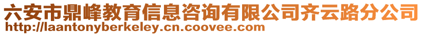 六安市鼎峰教育信息咨詢有限公司齊云路分公司