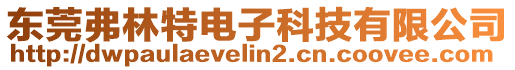 東莞弗林特電子科技有限公司