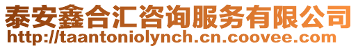 泰安鑫合匯咨詢服務有限公司