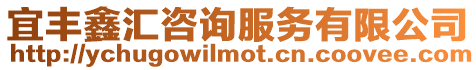 宜豐鑫匯咨詢服務有限公司
