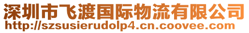 深圳市飛渡國際物流有限公司