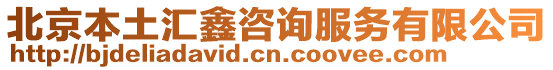 北京本土匯鑫咨詢服務有限公司