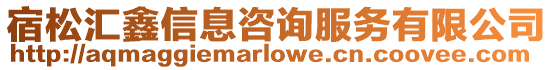宿松匯鑫信息咨詢服務有限公司
