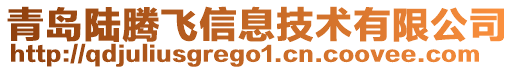青島陸騰飛信息技術有限公司
