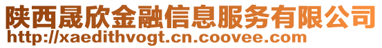 陜西晟欣金融信息服務有限公司