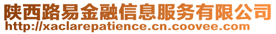 陜西路易金融信息服務有限公司