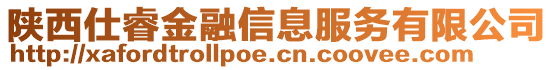 陜西仕睿金融信息服務(wù)有限公司