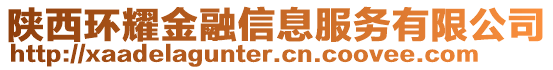陜西環耀金融信息服務有限公司