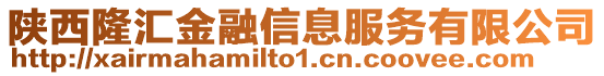 陜西隆匯金融信息服務(wù)有限公司