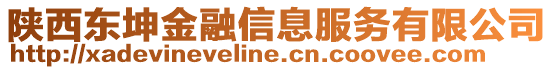 陜西東坤金融信息服務有限公司