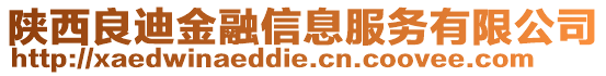 陜西良迪金融信息服務(wù)有限公司