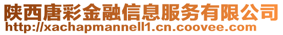 陜西唐彩金融信息服務有限公司