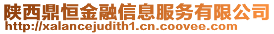 陜西鼎恒金融信息服務(wù)有限公司