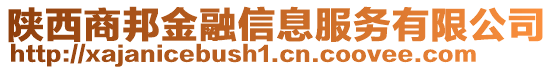 陜西商邦金融信息服務有限公司