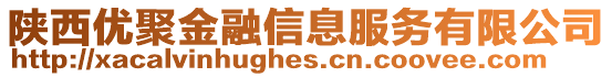陜西優(yōu)聚金融信息服務(wù)有限公司