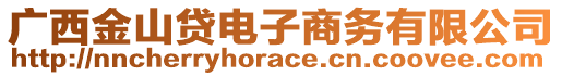 廣西金山貸電子商務(wù)有限公司