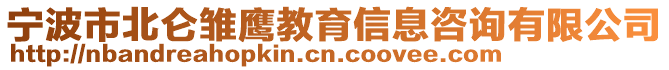 寧波市北侖雛鷹教育信息咨詢有限公司