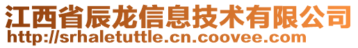 江西省辰龍信息技術(shù)有限公司