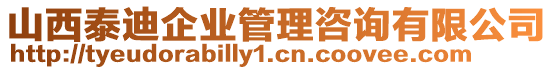 山西泰迪企業(yè)管理咨詢有限公司