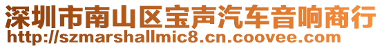 深圳市南山區(qū)寶聲汽車音響商行