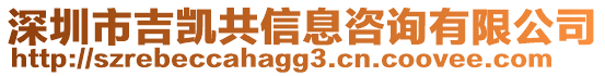 深圳市吉凱共信息咨詢有限公司