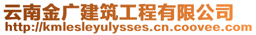 云南金廣建筑工程有限公司