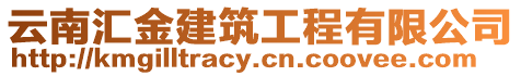 云南匯金建筑工程有限公司