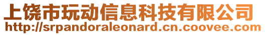 上饒市玩動(dòng)信息科技有限公司