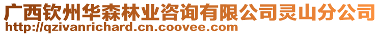廣西欽州華森林業咨詢有限公司靈山分公司