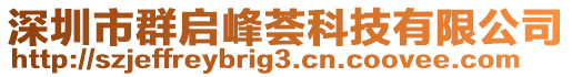 深圳市群啟峰薈科技有限公司