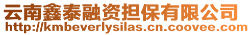 云南鑫泰融資擔保有限公司
