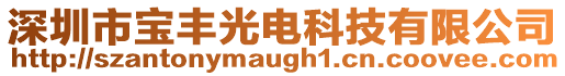 深圳市寶豐光電科技有限公司