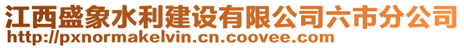 江西盛象水利建設有限公司六市分公司