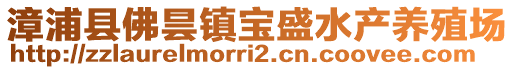 漳浦縣佛曇鎮(zhèn)寶盛水產(chǎn)養(yǎng)殖場