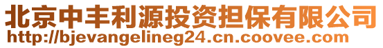 北京中豐利源投資擔保有限公司