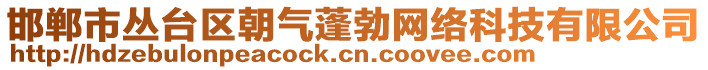 邯鄲市叢臺區(qū)朝氣蓬勃網(wǎng)絡(luò)科技有限公司