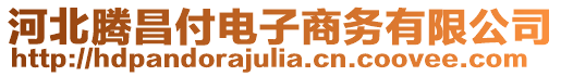 河北騰昌付電子商務有限公司
