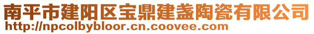 南平市建陽區(qū)寶鼎建盞陶瓷有限公司