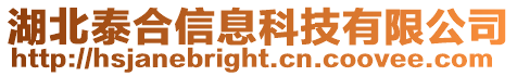 湖北泰合信息科技有限公司