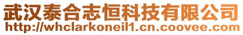 武漢泰合志恒科技有限公司