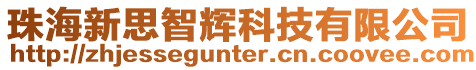 珠海新思智輝科技有限公司