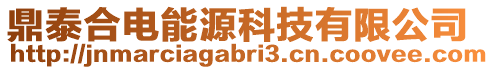 鼎泰合電能源科技有限公司