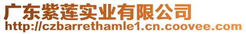 廣東紫蓮實(shí)業(yè)有限公司
