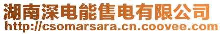 湖南深電能售電有限公司