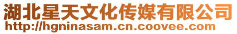 湖北星天文化傳媒有限公司