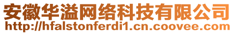 安徽華溢網(wǎng)絡(luò)科技有限公司