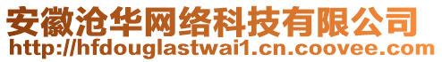 安徽滄華網絡科技有限公司